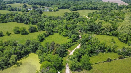 419 +/- Acre Country Estate in Columbia, MO - image 28