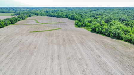 419 +/- Acre Country Estate in Columbia, MO - image 44