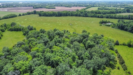 419 +/- Acre Country Estate in Columbia, MO - image 32