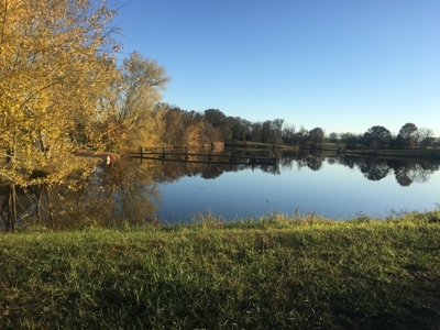 419 +/- Acre Country Estate in Columbia, MO - image 3