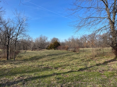 419 +/- Acre Country Estate in Columbia, MO - image 7