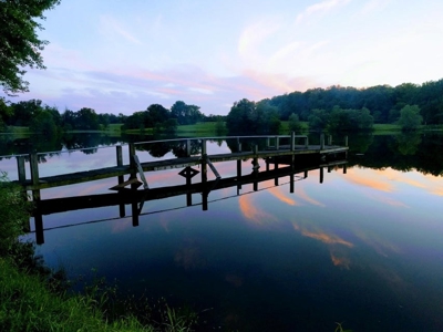 419 +/- Acre Country Estate in Columbia, MO - image 14