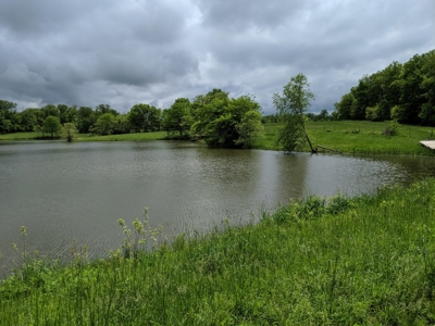 419 +/- Acre Country Estate in Columbia, MO - image 1