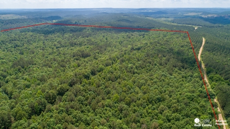 Land for sale in Sevier County - image 2