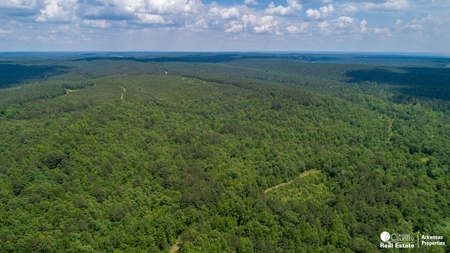 Land for sale in Sevier County - image 1