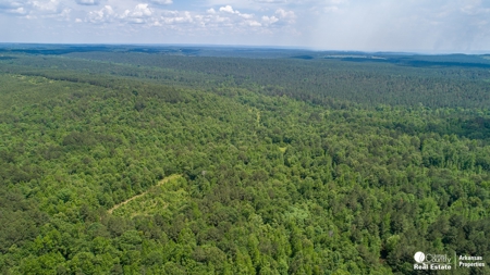 Land for sale in Sevier County - image 5