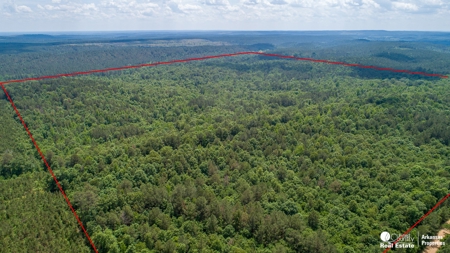 Land for sale in Sevier County - image 3