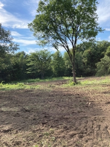 160+/- Acre Hunting Farm in Northern MO (Sold in 2 Tracts) - image 11