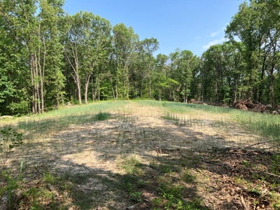 160+/- Acre Hunting Farm in Northern MO (Sold in 2 Tracts) - image 23