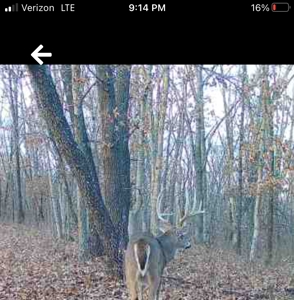 160+/- Acre Hunting Farm in Northern MO (Sold in 2 Tracts) - image 1