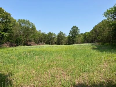 160+/- Acre Hunting Farm in Northern MO (Sold in 2 Tracts) - image 26