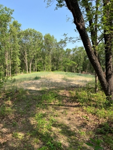 160+/- Acre Hunting Farm in Northern MO (Sold in 2 Tracts) - image 22