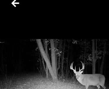 160+/- Acre Hunting Farm in Northern MO (Sold in 2 Tracts) - image 6
