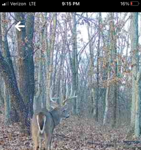 160+/- Acre Hunting Farm in Northern MO (Sold in 2 Tracts) - image 2
