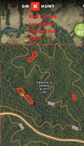 160+/- Acre Hunting Farm in Northern MO (Sold in 2 Tracts) - image 13