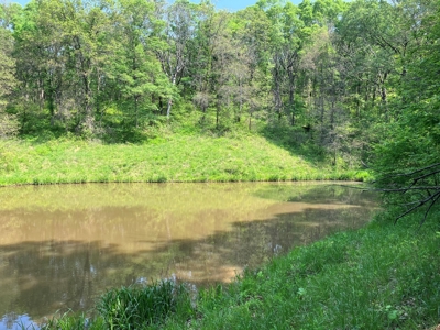 160+/- Acre Hunting Farm in Northern MO (Sold in 2 Tracts) - image 32