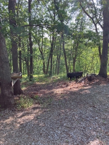 160+/- Acre Hunting Farm in Northern MO (Sold in 2 Tracts) - image 19