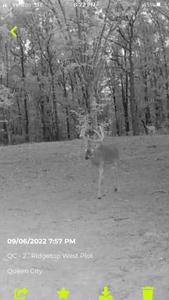 160+/- Acre Hunting Farm in Northern MO (Sold in 2 Tracts) - image 12