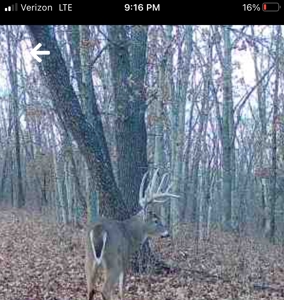 160+/- Acre Hunting Farm in Northern MO (Sold in 2 Tracts) - image 3