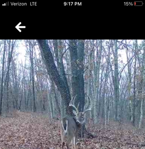 160+/- Acre Hunting Farm in Northern MO (Sold in 2 Tracts) - image 4