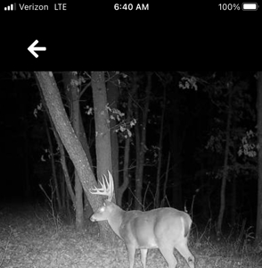 160+/- Acre Hunting Farm in Northern MO (Sold in 2 Tracts) - image 5
