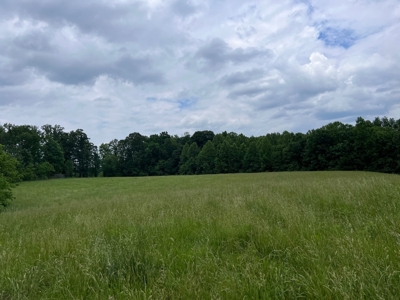 28 Unrestricted Acres For Sale in Hawkins County, Tennessee - image 3