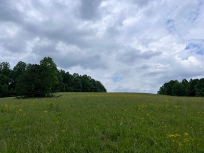28 Unrestricted Acres For Sale in Hawkins County, Tennessee - image 2