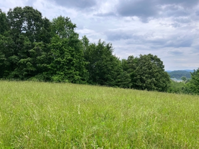 28 Unrestricted Acres For Sale in Hawkins County, Tennessee - image 8