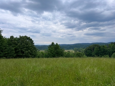 28 Unrestricted Acres For Sale in Hawkins County, Tennessee - image 4