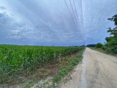 120 Acres Of Farm Land For Sale! Live Oak Florida! - image 8