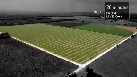 120 Acres Of Farm Land For Sale! Live Oak Florida! - image 9