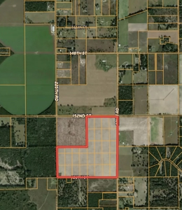 120 Acres Of Farm Land For Sale! Live Oak Florida! - image 11