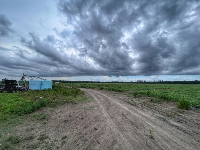 120 Acres Of Farm Land For Sale! Live Oak Florida! - image 6