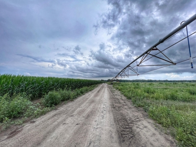 120 Acres Of Farm Land For Sale! Live Oak Florida! - image 3