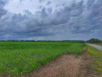 120 Acres Of Farm Land For Sale! Live Oak Florida! - image 2