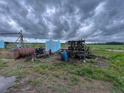 120 Acres Of Farm Land For Sale! Live Oak Florida! - image 4