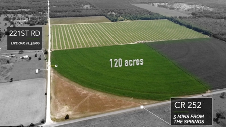 120 Acres Of Farm Land For Sale! Live Oak Florida! - image 1