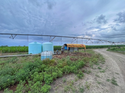 120 Acres Of Farm Land For Sale! Live Oak Florida! - image 5