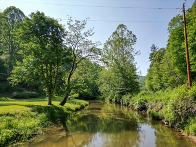 Sweet Cottage with Creek Frontage for Sale in Dugspur VA! - image 21