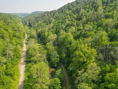 Sweet Cottage with Creek Frontage for Sale in Dugspur VA! - image 18