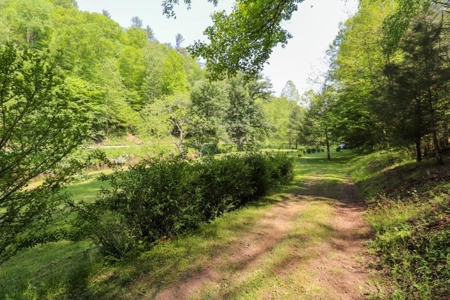 Sweet Cottage with Creek Frontage for Sale in Dugspur VA! - image 41