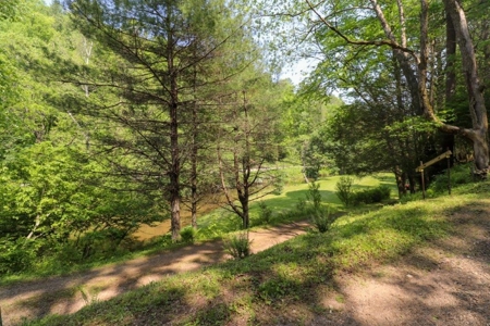 Sweet Cottage with Creek Frontage for Sale in Dugspur VA! - image 29