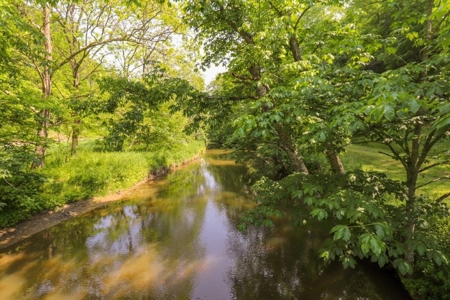 Sweet Cottage with Creek Frontage for Sale in Dugspur VA! - image 42