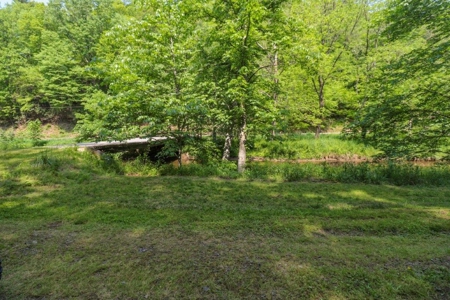 Sweet Cottage with Creek Frontage for Sale in Dugspur VA! - image 28