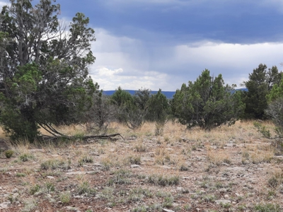 Off Grid Northern AZ Rural Property - image 1