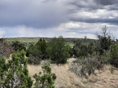 Off Grid Northern AZ Rural Property - image 2