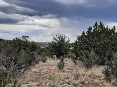 Off Grid Northern AZ Rural Property - image 3