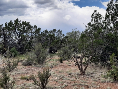 Off Grid Northern AZ Rural Property - image 6
