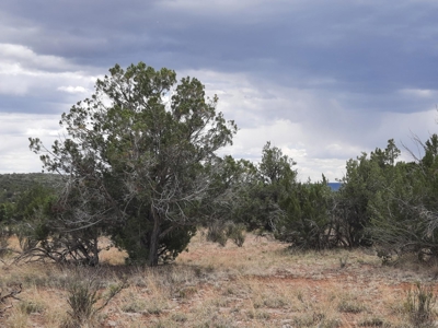 Off Grid Northern AZ Rural Property - image 8