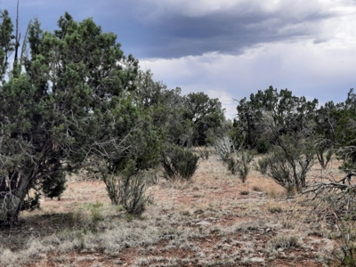 Off Grid Northern AZ Rural Property - image 4